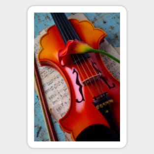 Orange Calla Lily On Baroque Violin Sticker